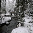 der Steg im Wald