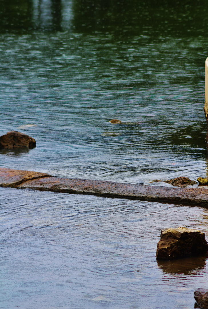 der Steg  ins Meer