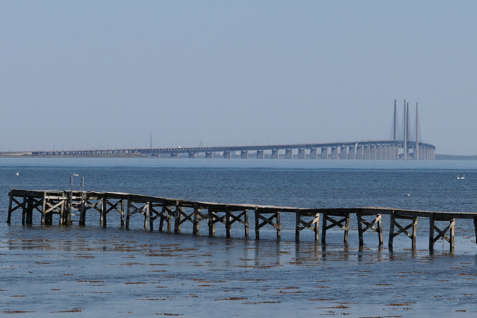 Der Steg ins Nichts, die Brücke nach Schweden.... 