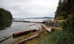 Der Steg von *Hidden Cove Lodge*, T.C., Vancouver Island, B.C., Canada