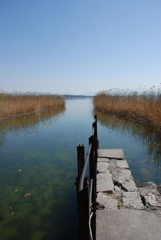 Der Steg zum See