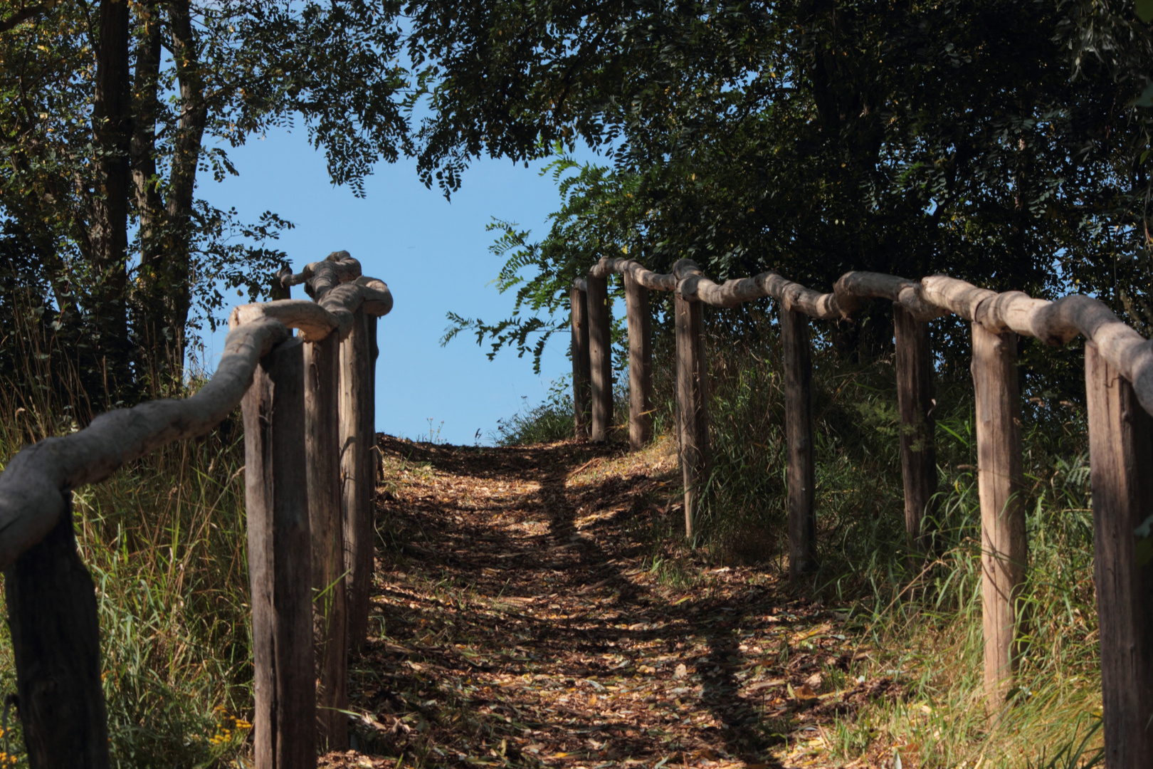 der steile Weg nach oben