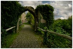 Der steile Weg zur Ruine...