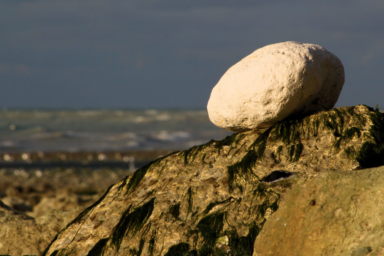 Der Stein am Meer