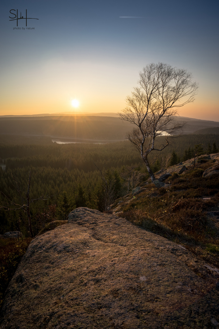 Der Stein auf Scharfenstein