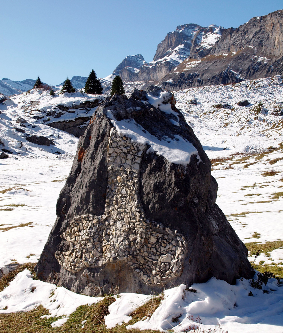 Der Stein und die Bäume