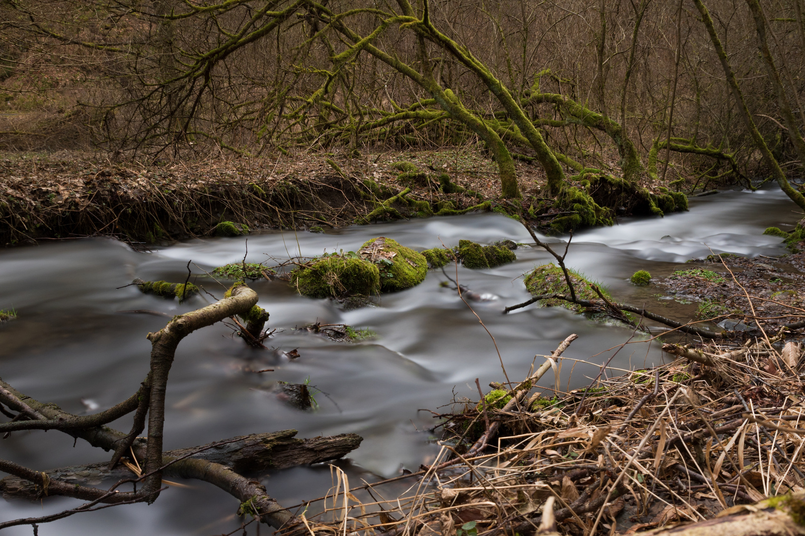 Der Steinbach - Grenzbach zwischen Thüringen und Bayern (1)