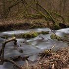 Der Steinbach - Grenzbach zwischen Thüringen und Bayern (1)