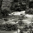 Der Steinbach - Grenzbach zwischen Thüringen und Bayern (3)