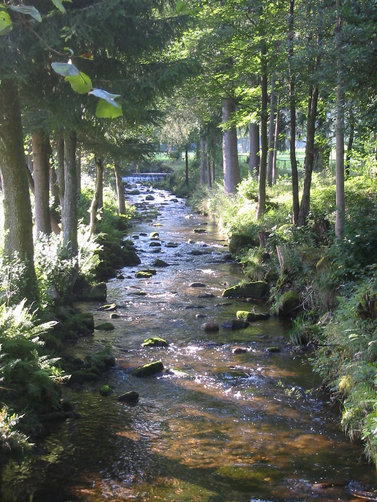 Der steinerne Fluss