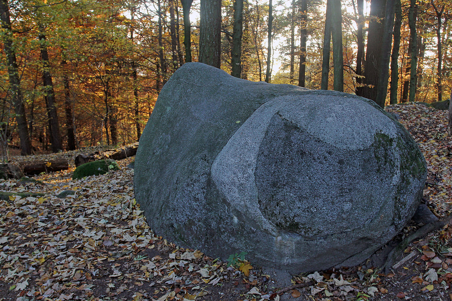 Der steinerne Gaul