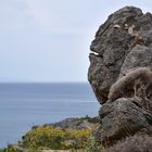 Der steinerne Geist wacht über dem Meer