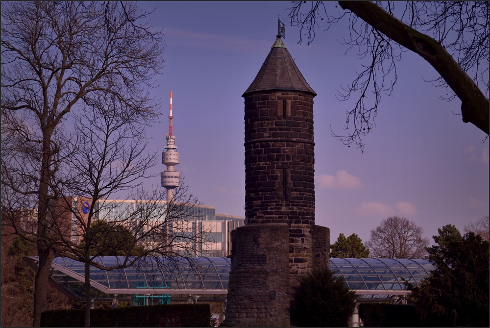 Der steinerne Turm ...