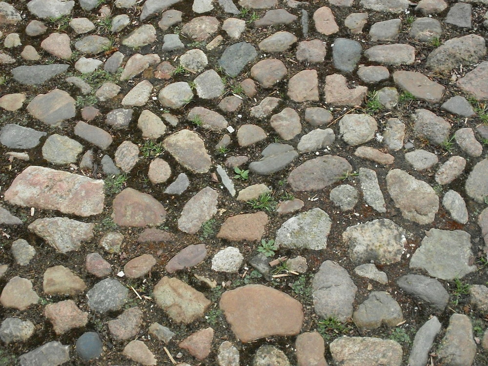 der steinige Weg des Lebens