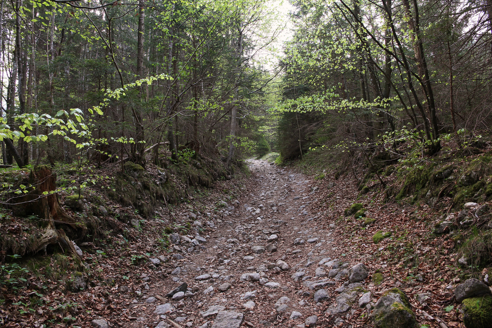 Der steinige Weg von Ort zum Rabenkopf (0284_ji)