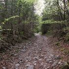 Der steinige Weg von Ort zum Rabenkopf (0284_ji)