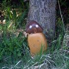 DER STEINPILZ ;-)