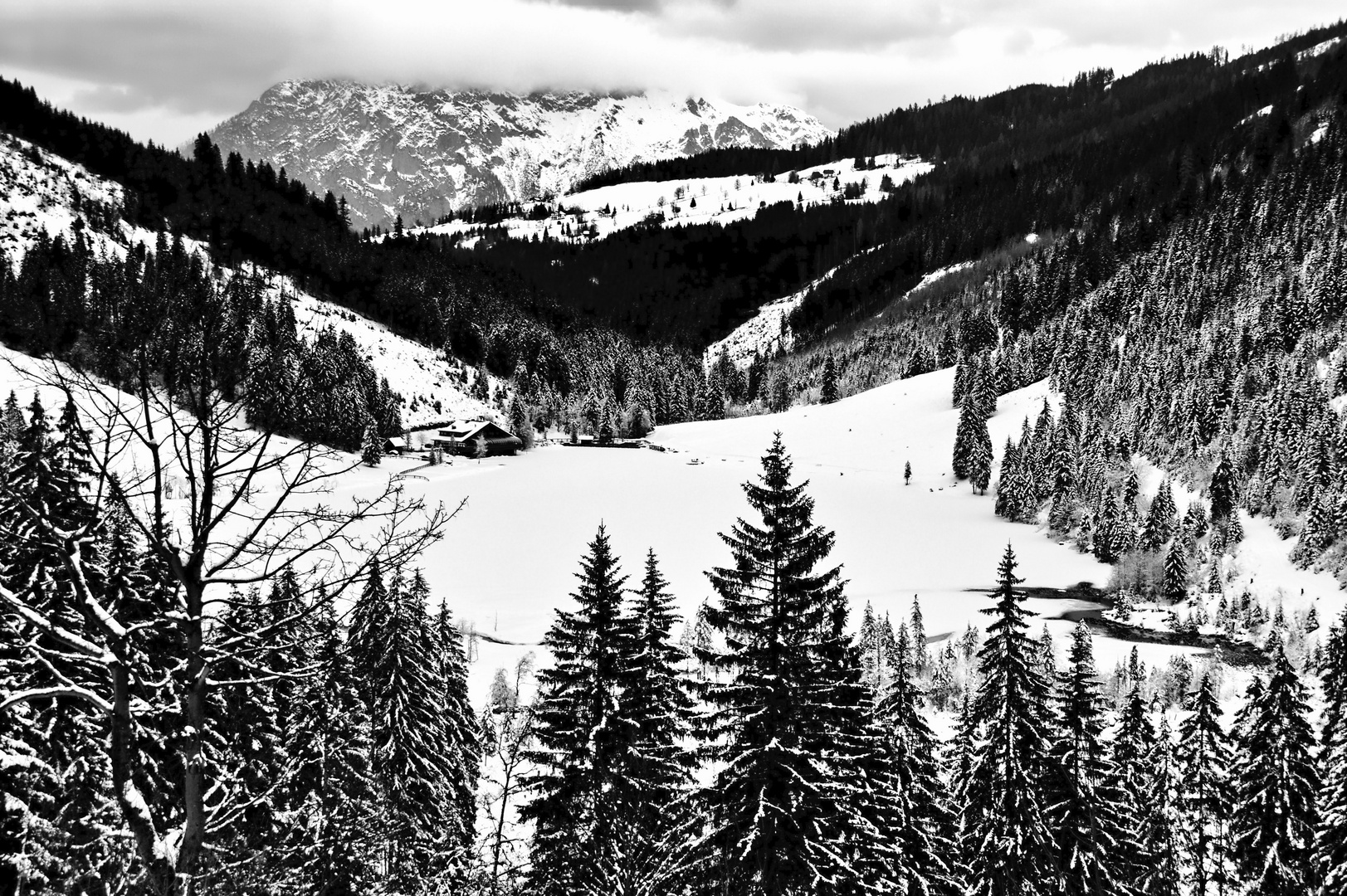 Der Steirische Bodensee Foto & Bild europe, Österreich, landschaft