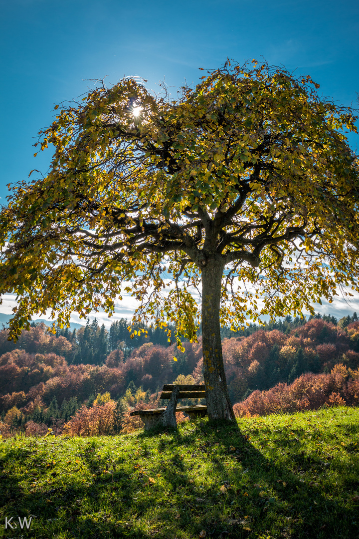 Der Steirische Herbst