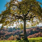 Der Steirische Herbst