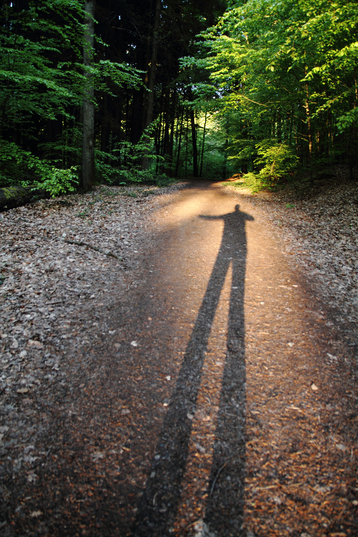 Der Stelzenmann im Wald