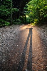 Der Stelzenmann im Wald