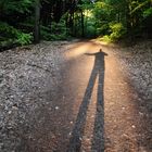 Der Stelzenmann im Wald