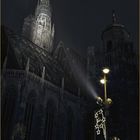 Der Stephansdom