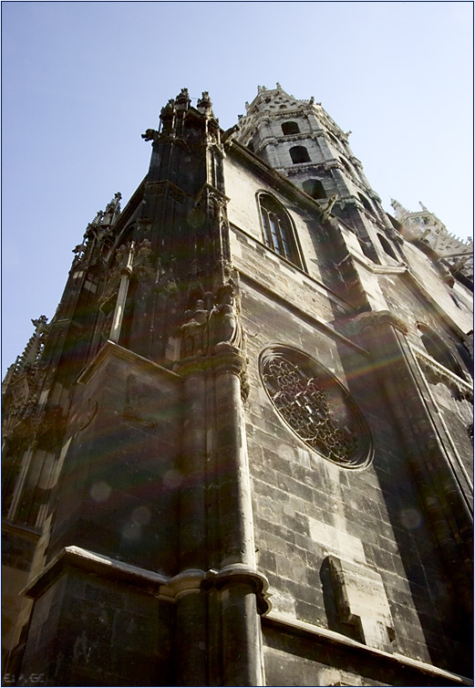 der stephansdom