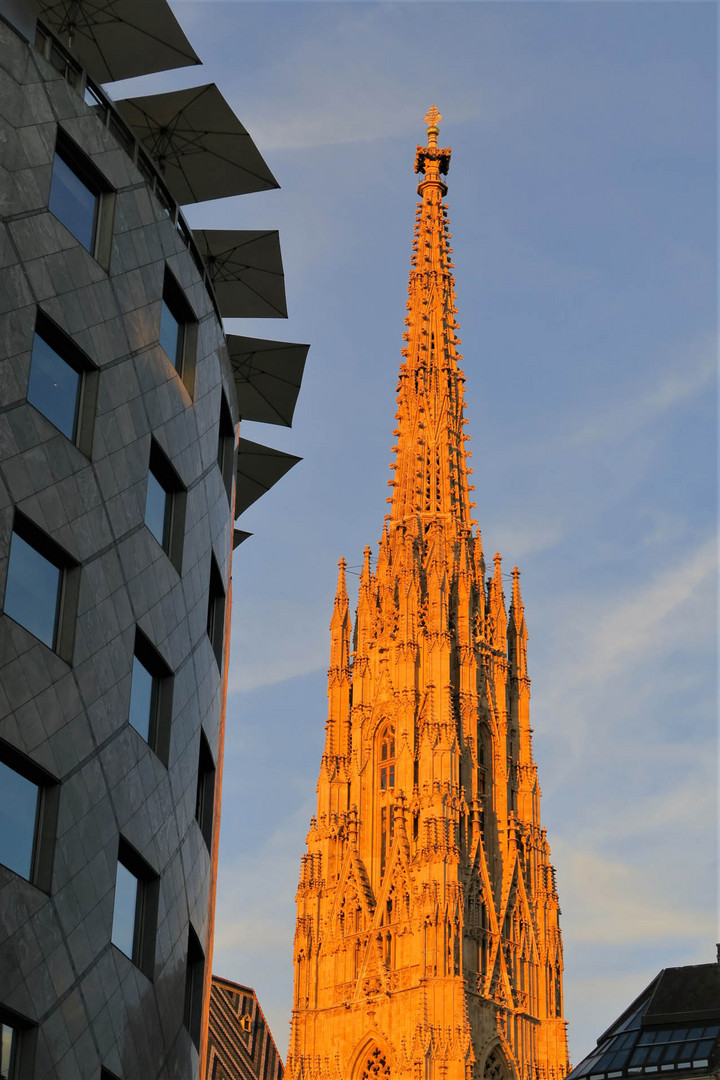 Der Stephansdom in Gold gehüllt