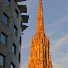 Der Stephansdom in Gold gehüllt