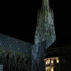 Der Stephansdom in Wien