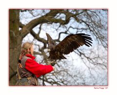 Der Steppenadler