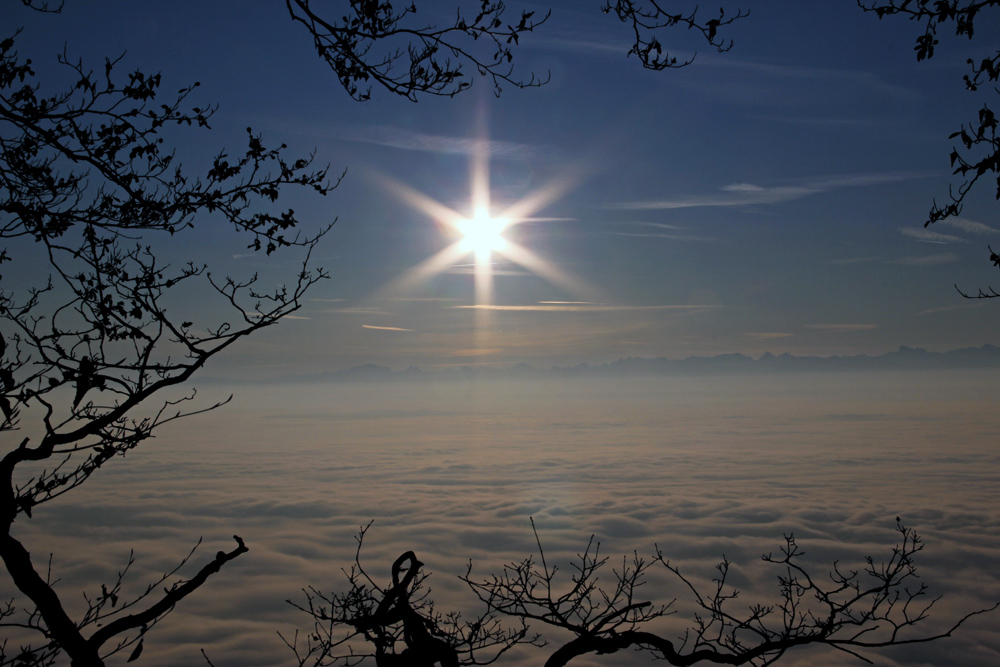 Der Stern von Bethlehem? Foto & Bild  sonnenaufgänge, himmel 