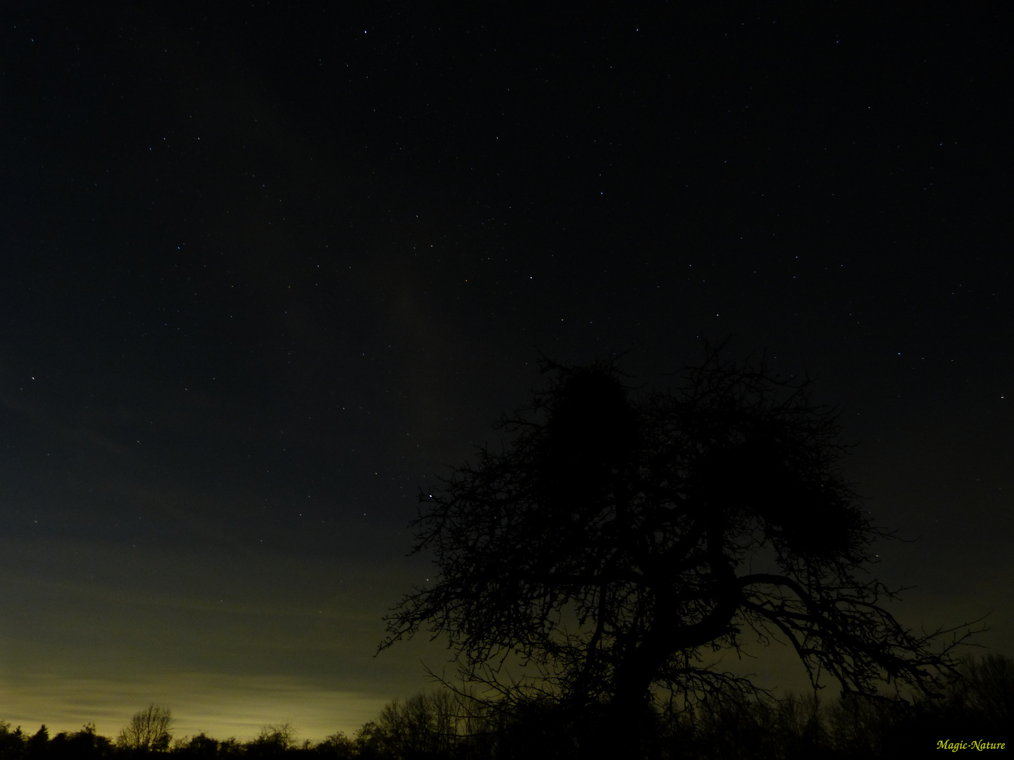 Der Sternenhimmel #1