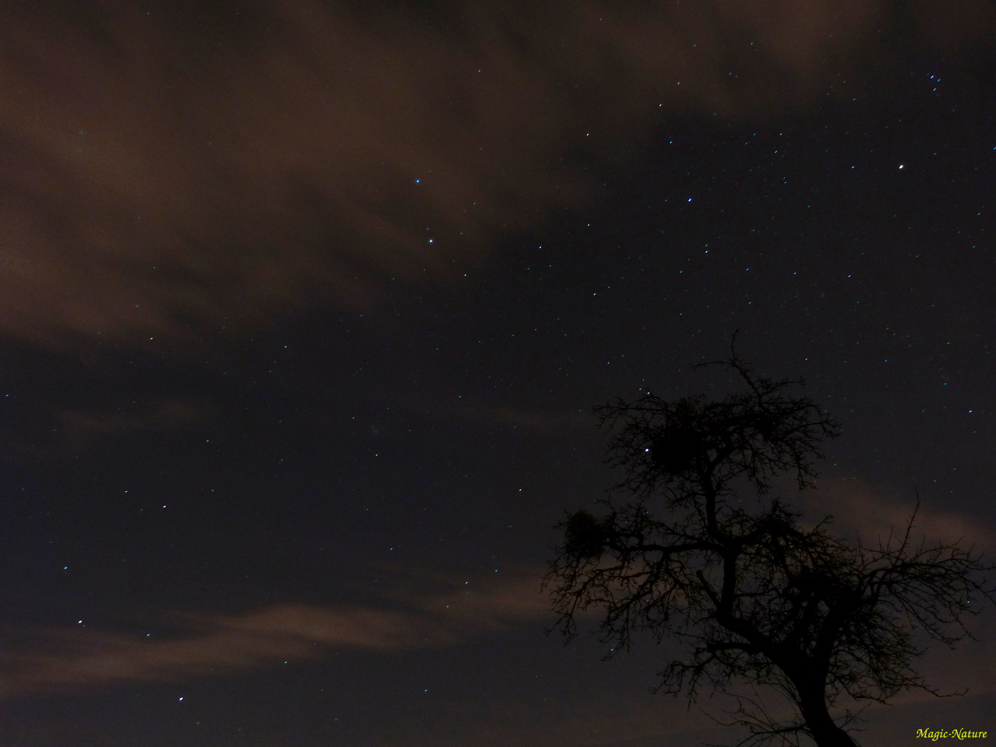 Der Sternenhimmel #2