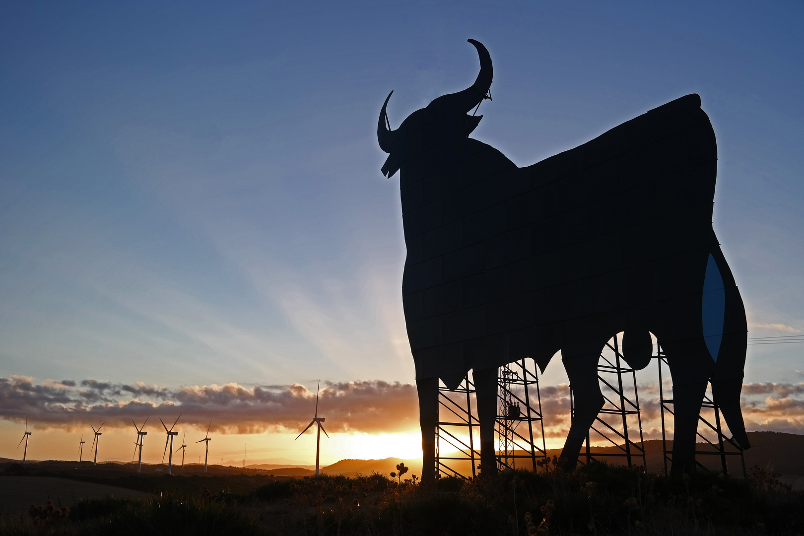 Der Stier erwartet die Sonne