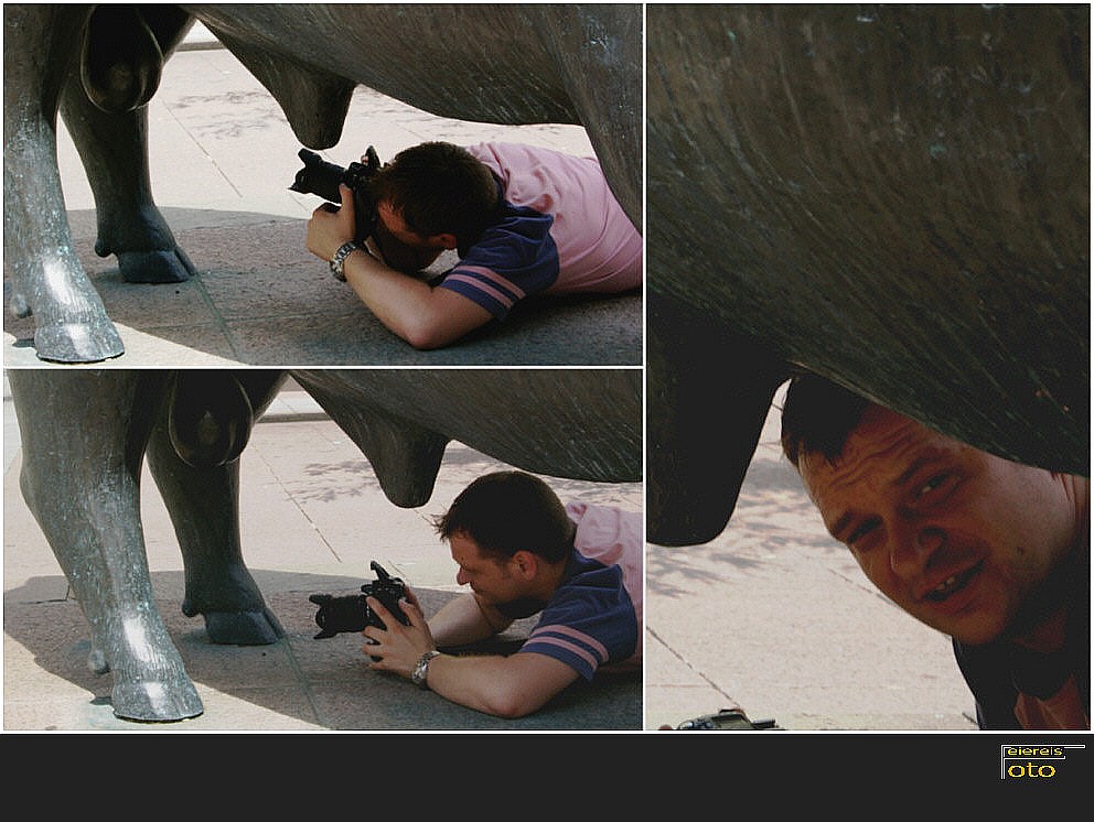 Der Stier und der Fotograf...