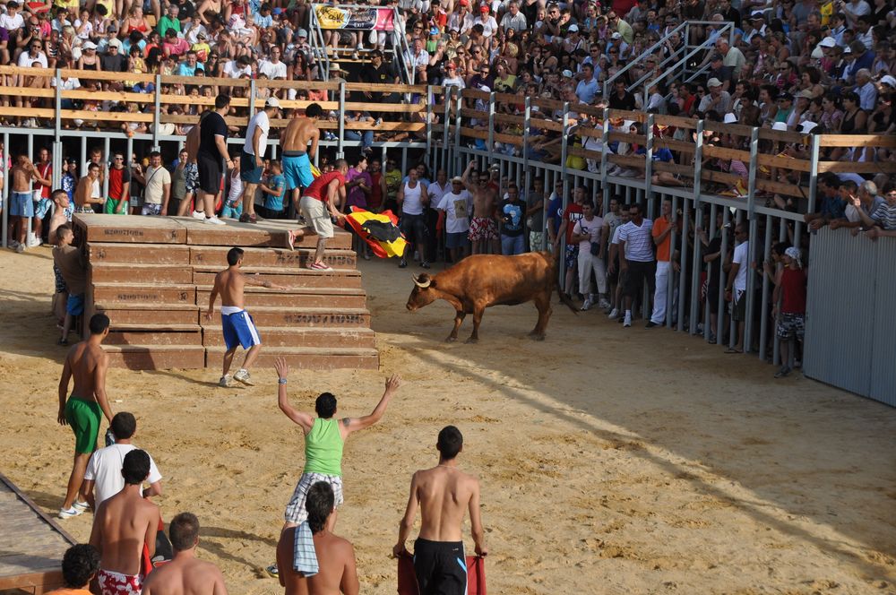 Der Stier wird animiert.