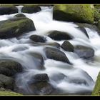 Der Stille Bach im Schwarzwald