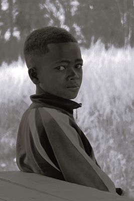 Der stille Beobachter