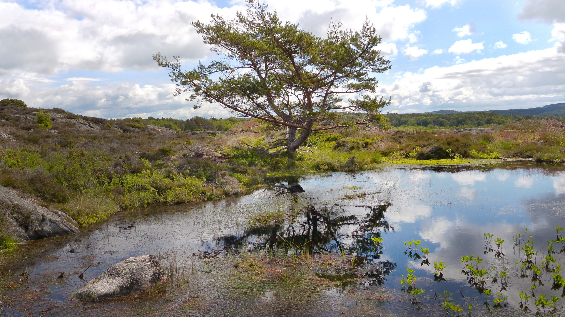 der stille Bergsee