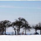 Der Stille da draußen zu lauschen...