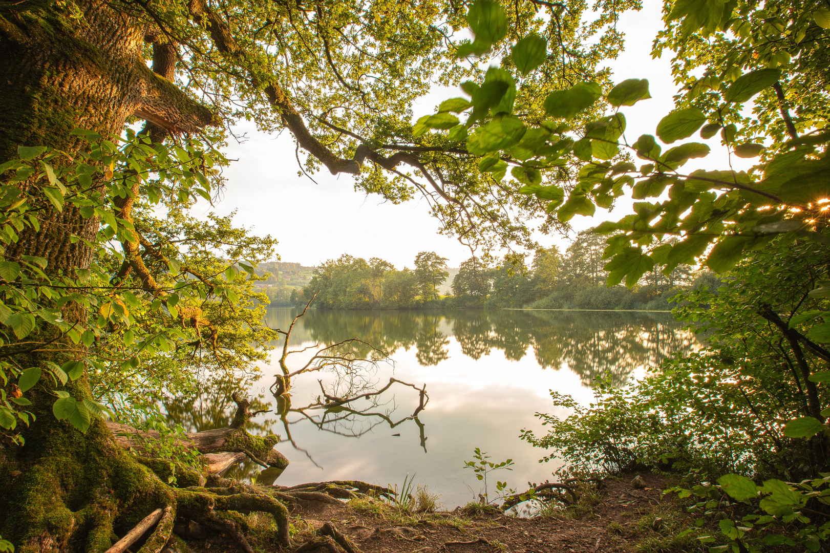 der Stille lauschen..................am Mauensee 2