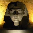 ...der stille Wächter des Luxor Tempels...