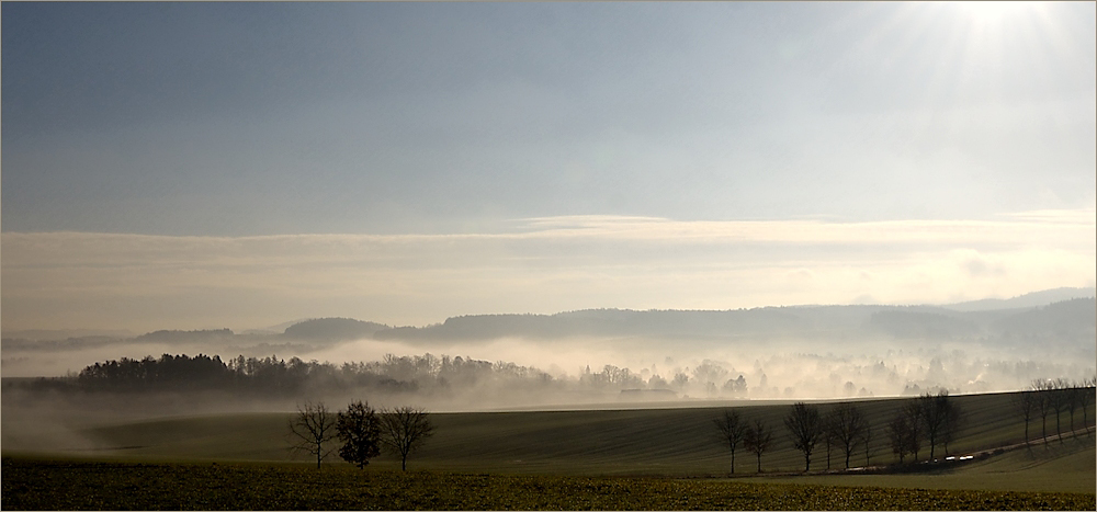 Der stimmungsvolle Blick ...