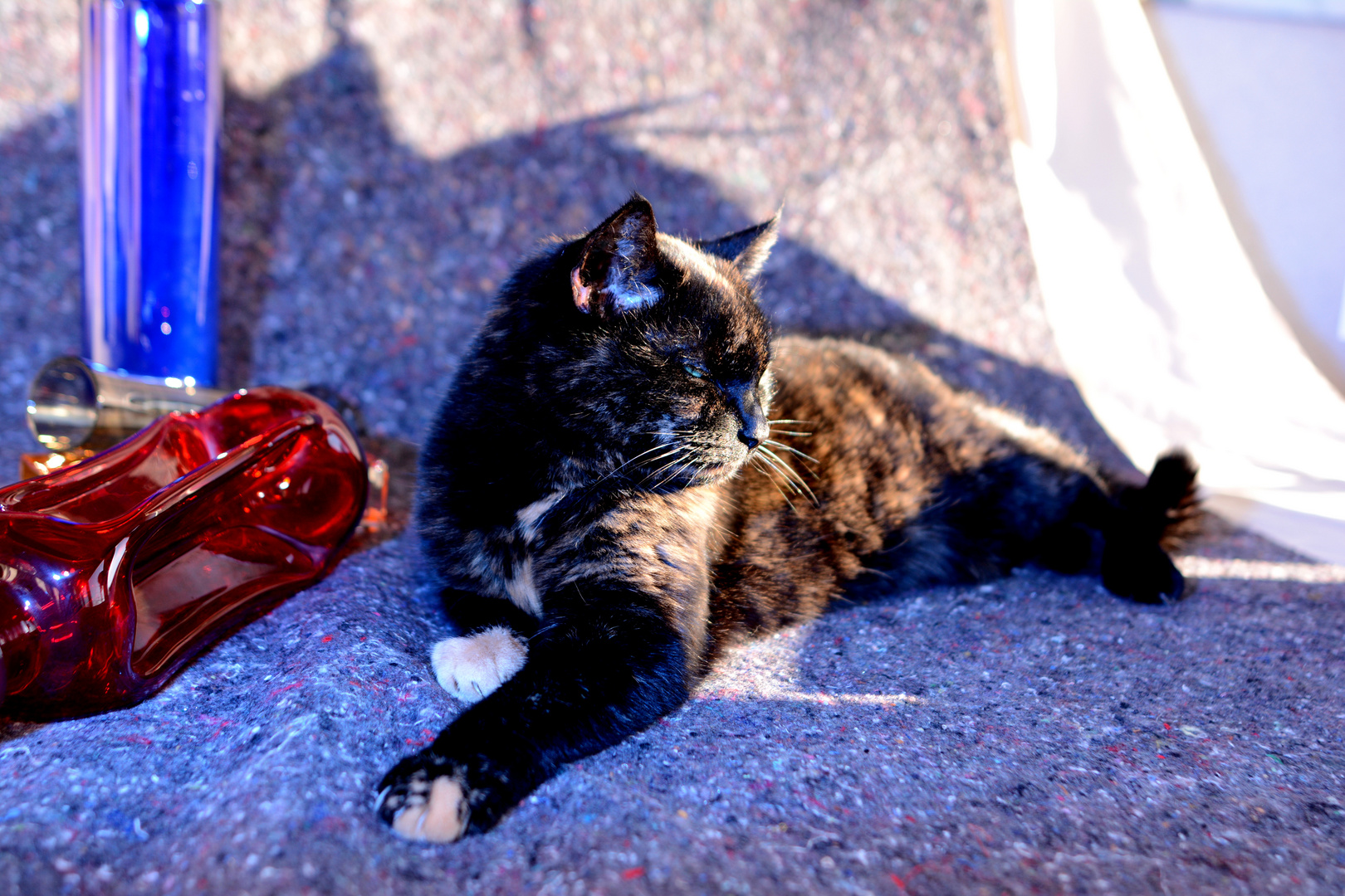 Der Störenfried im Stilleben Foto & Bild stillleben, arrangierte szenen, miniaturen Bilder auf
