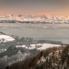 Der Stolz der Schweizer Alpen...