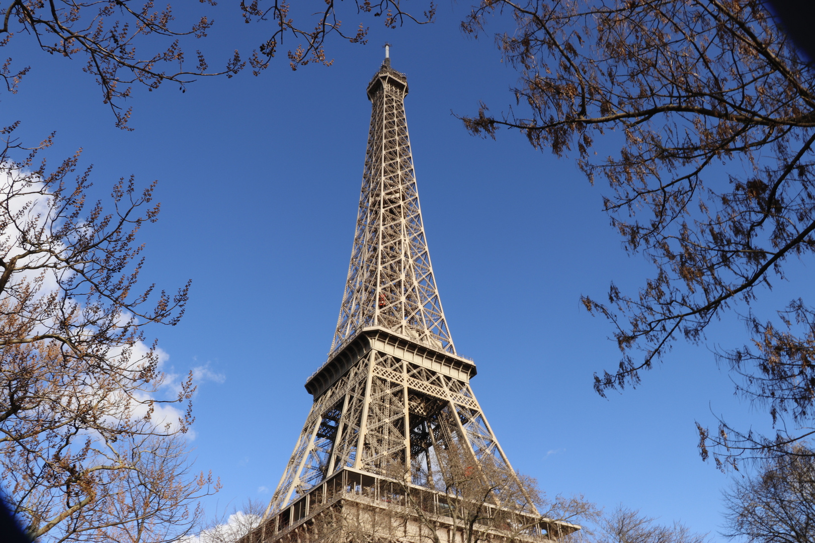 Der stolze Eiffelturm 