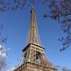 Der stolze Eiffelturm 